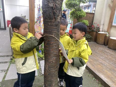 微信图片_20260316220326_69_13